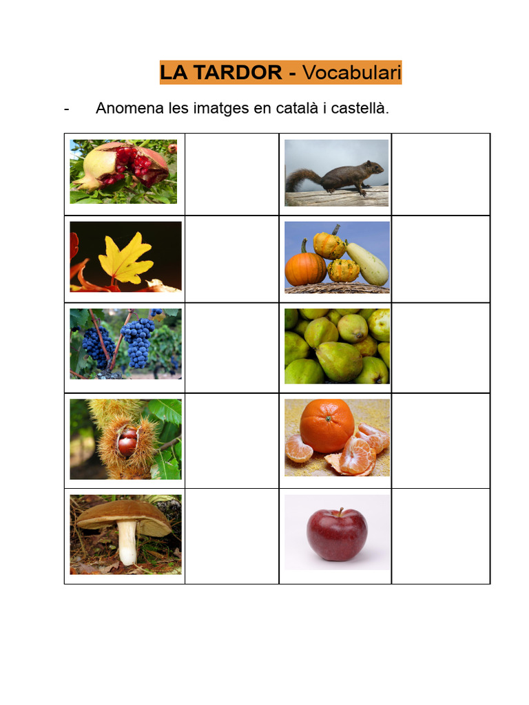 Vocabulari LA TARDOR PDF