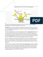 Ribosome: Our Updated Will Become Effective On May 25, 2012