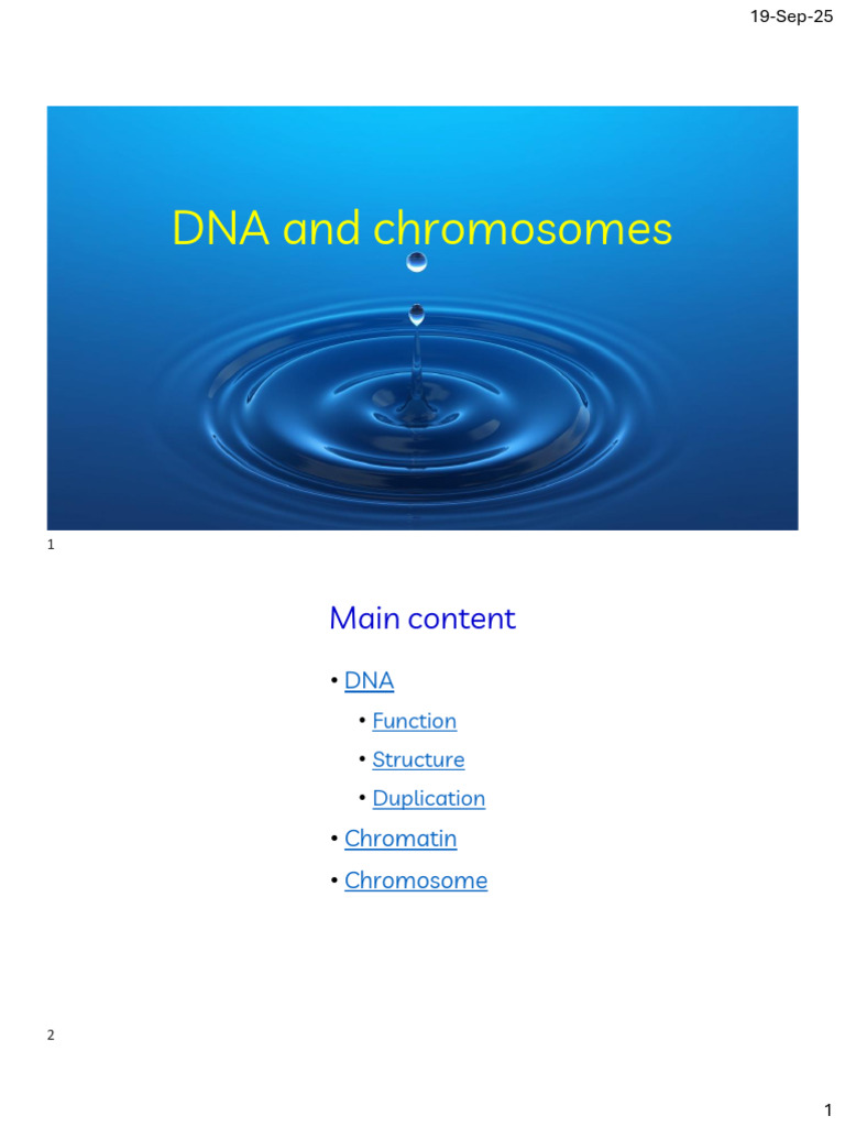 DNA Structure, Function, and Chromosomes | PDF | Chromatin | Dna