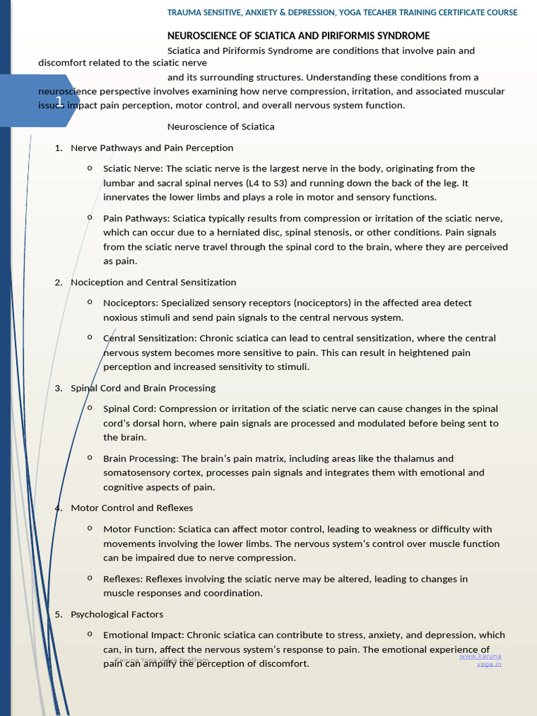 Neuroscience of Sciatica & Piriformis Syndrome | PDF | Pain | Nervous ...