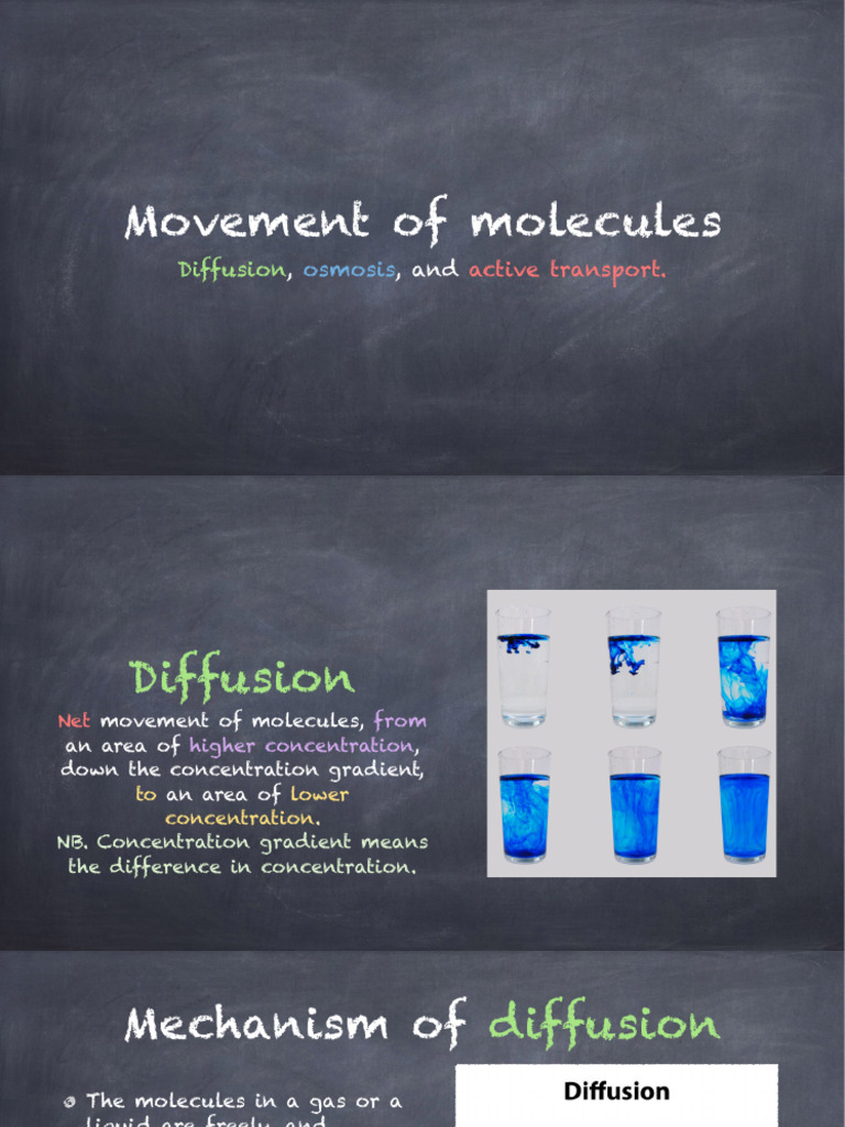 Molecule Movement: Diffusion, Osmosis, Active Transport | PDF | Osmosis ...