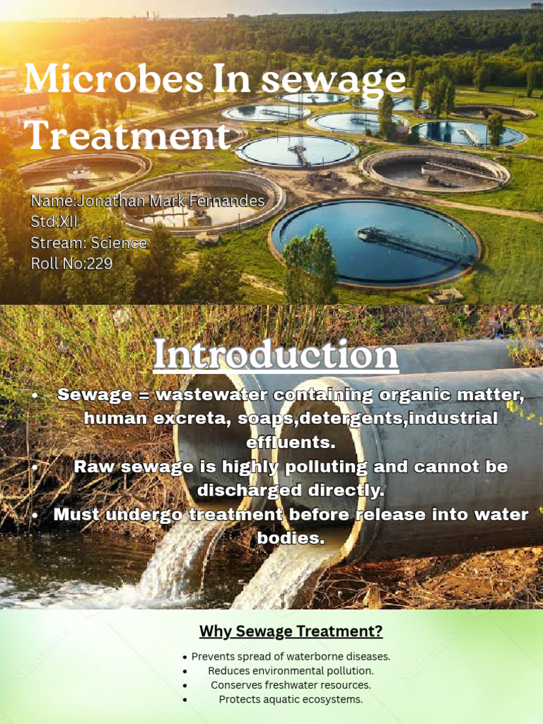 Microbes in Sewage Treatment | PDF | Sewage Treatment | Anaerobic Digestion
