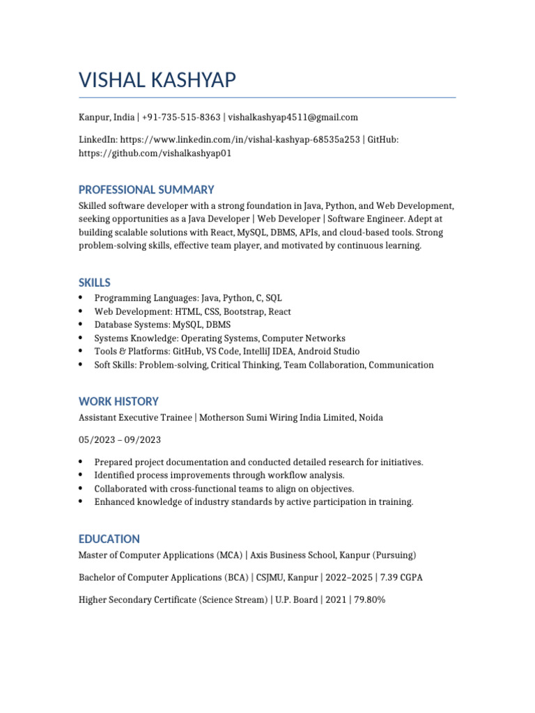 Java Developer & Web Skills Profile | PDF | Web Development | Databases