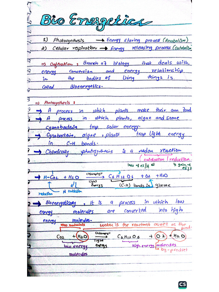 Bio Notes | PDF