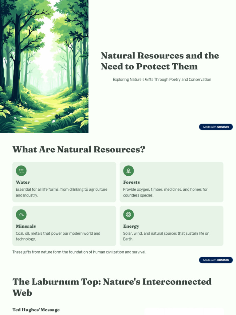 Natural Resources and The Need To Protect Them | PDF | Nature | Water