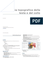 40417765 Anatomia Della Testa e Del Collo