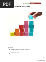 PEE Paragraph Structure Explained | PDF | Cognitive Science