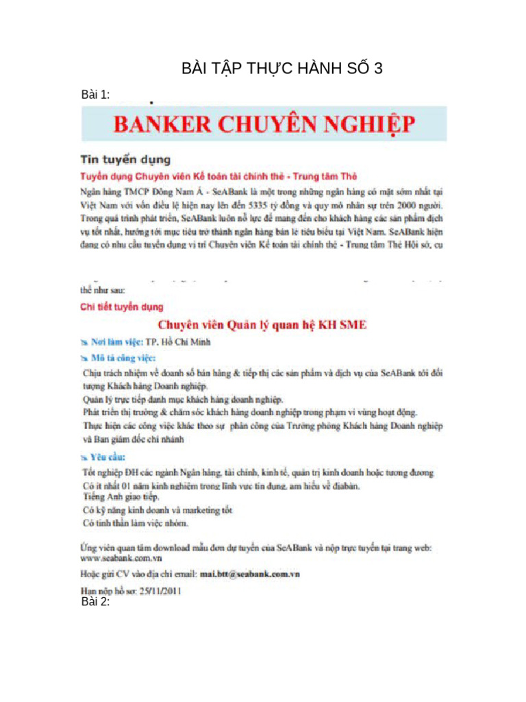 Bai Thuc Hanh So 3.docx 4856090001 Nguenduybao | PDF