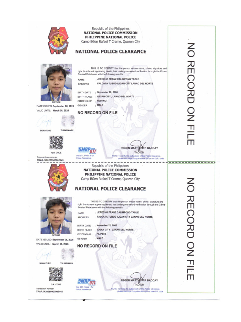 Police | PDF