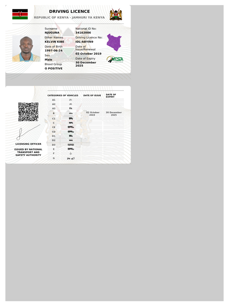 Driving License | PDF