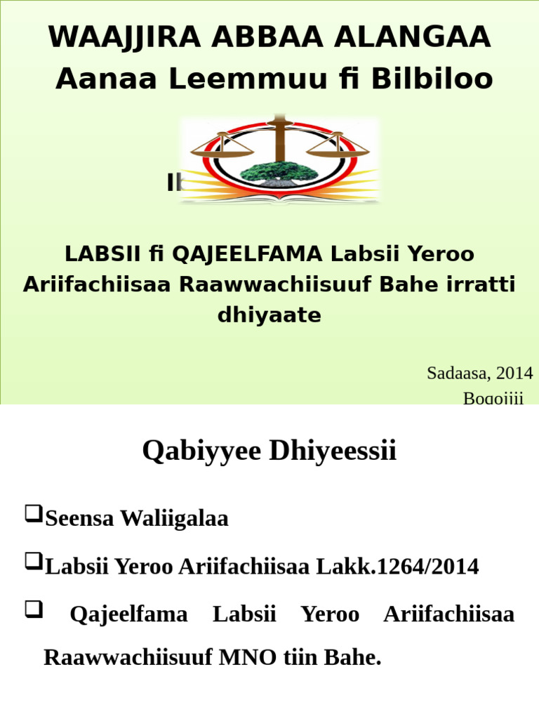 Labsii Arifaachisaa | PDF