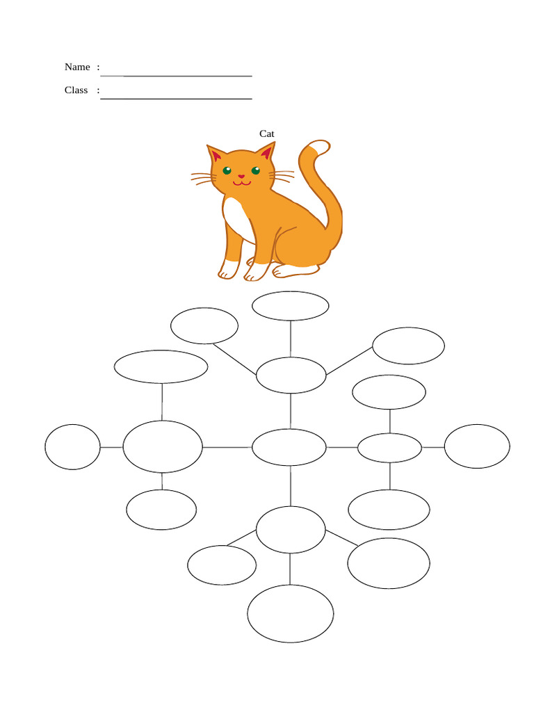 Test Spider Diagram | PDF