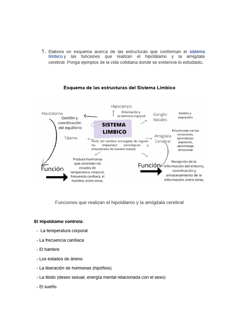 Funciones del Sistema Límbico y Ejemplos | PDF | Las emociones | Hipotálamo