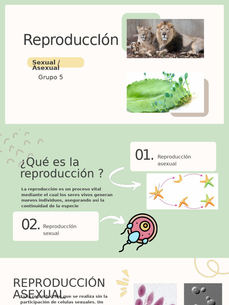 Reproducción Sexual y Asexual | PDF