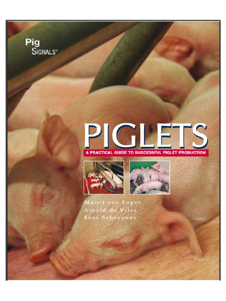 Piglets | PDF