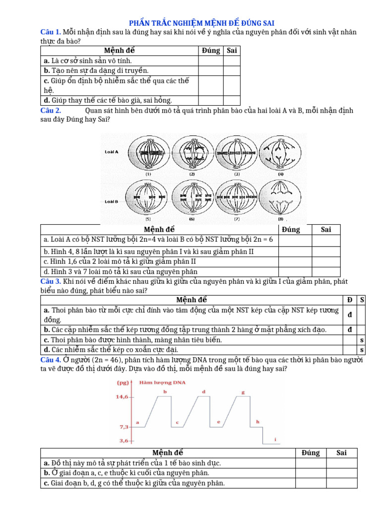 HS Đúng Sai NP GP | PDF