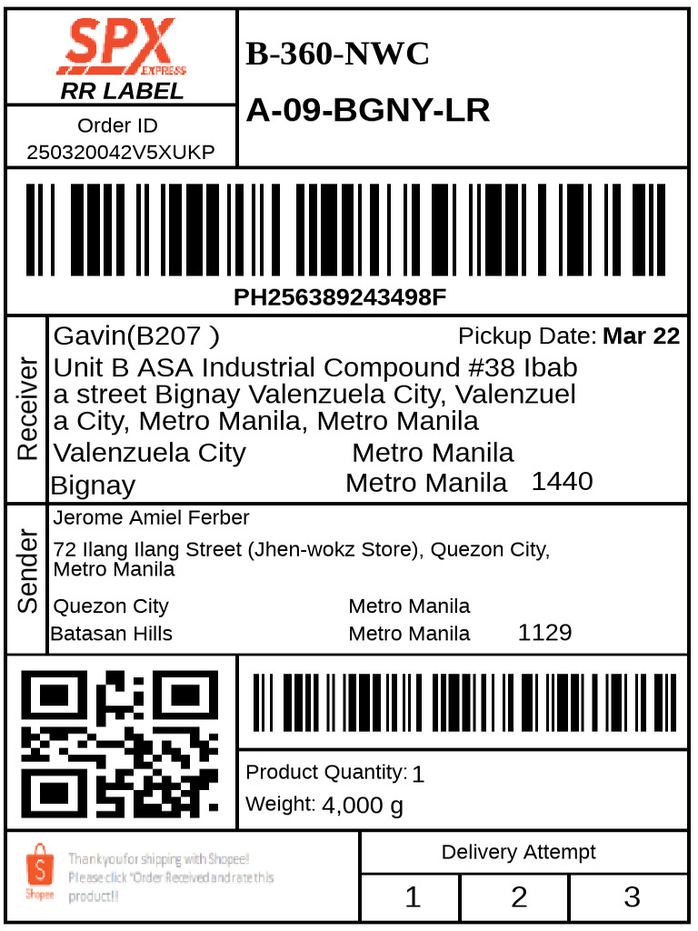 Order Details for Delivery Attempt | PDF