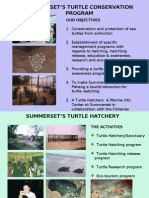 Turtle Conservation Prog