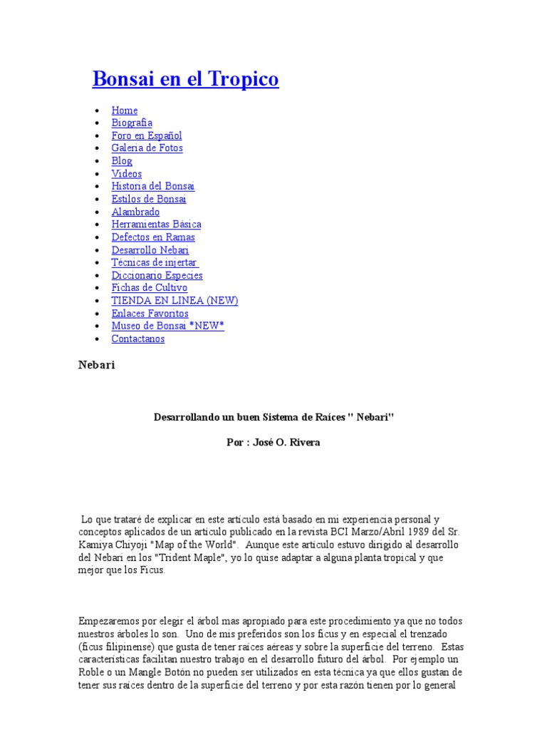 Articulos Bonsai en El Tropico PDF Bonsai Arboles