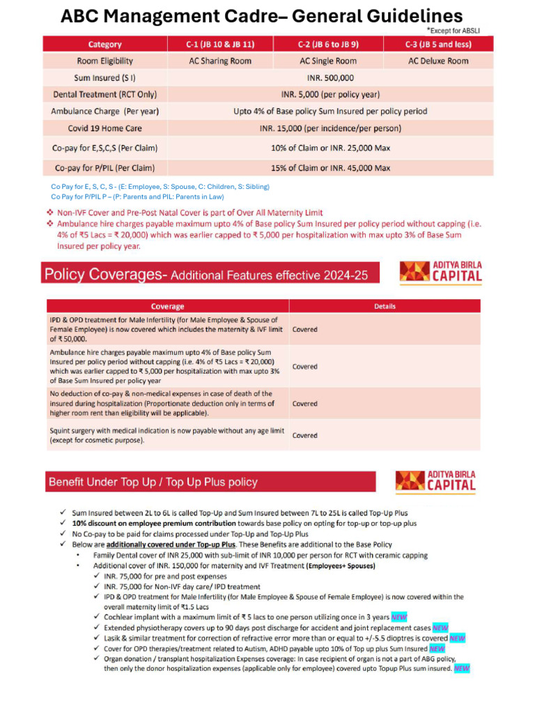 ABC Management & Non-Management Co-Pay Guidelines | PDF