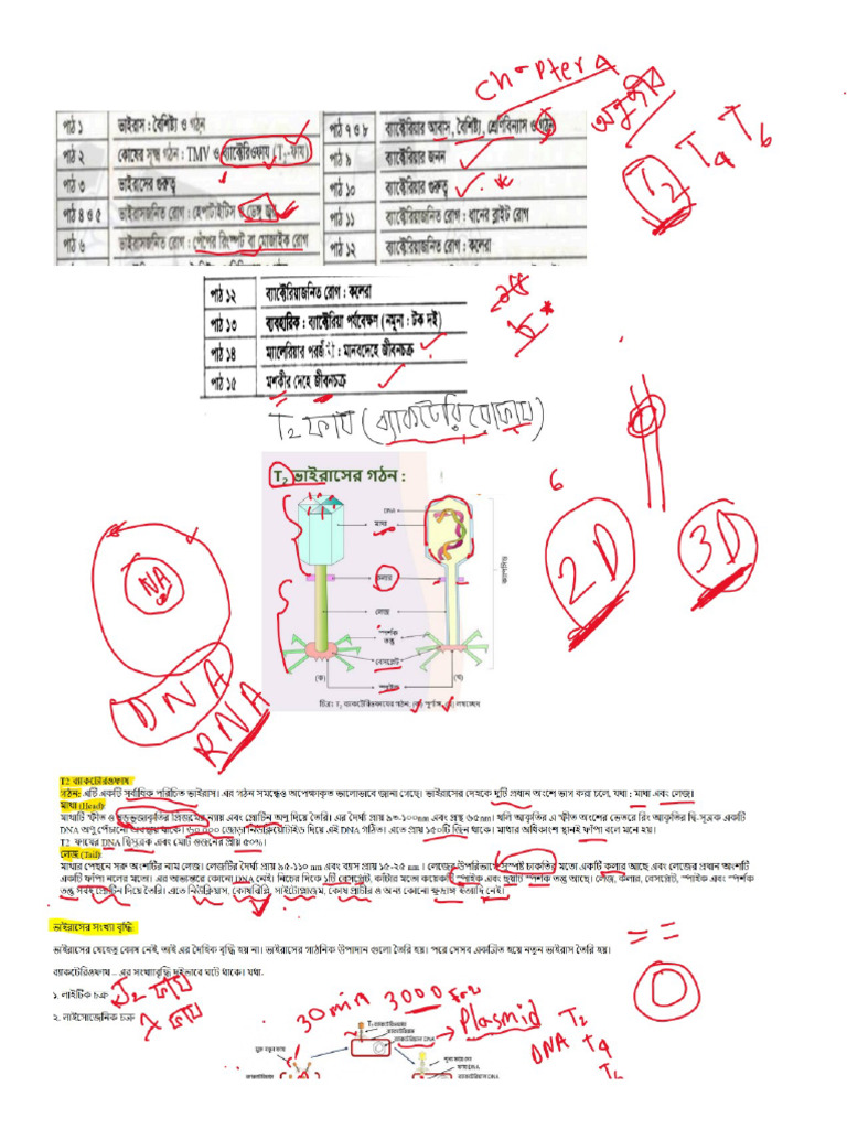 B1 C4 P1 - 1 | PDF