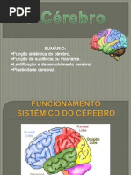 Plasticidade Cerebral
