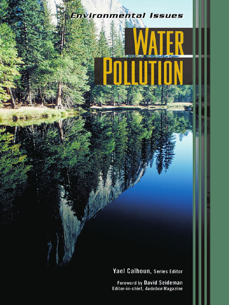 Water Pollution and Environmental Issues | PDF | Air Pollution ...