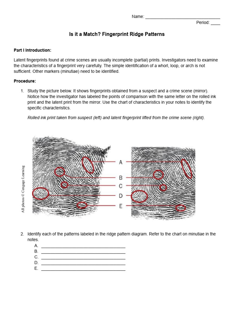 Fingerprint Analysis and Matching Guide | PDF | Fingerprint