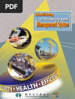 Download Safety Management by SAYED SN9271980 doc pdf
