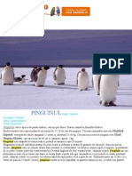 Pinguinii