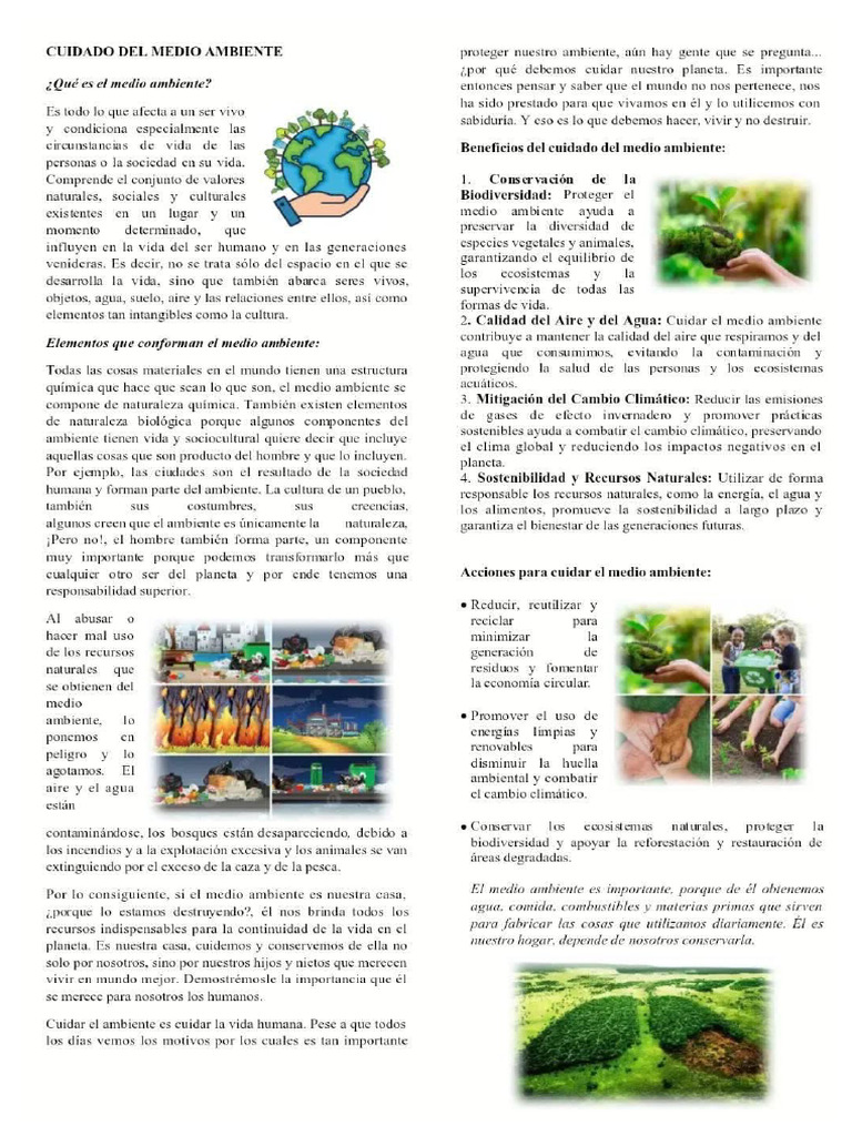 Cuidado Del Medio Ambiente y Sus Cuidados | PDF