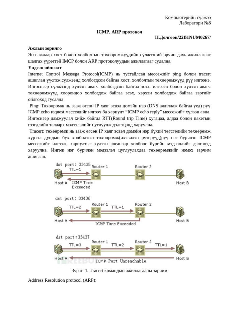 Suljee Lab8 | PDF