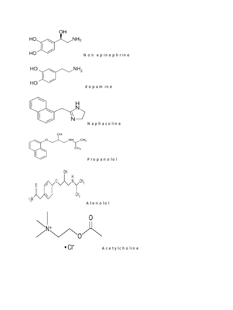 Structure D.pharmacy | PDF