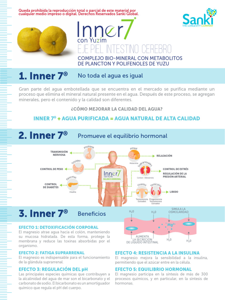 Guia Inner7 Kronoguia | PDF | Agua | Insulina