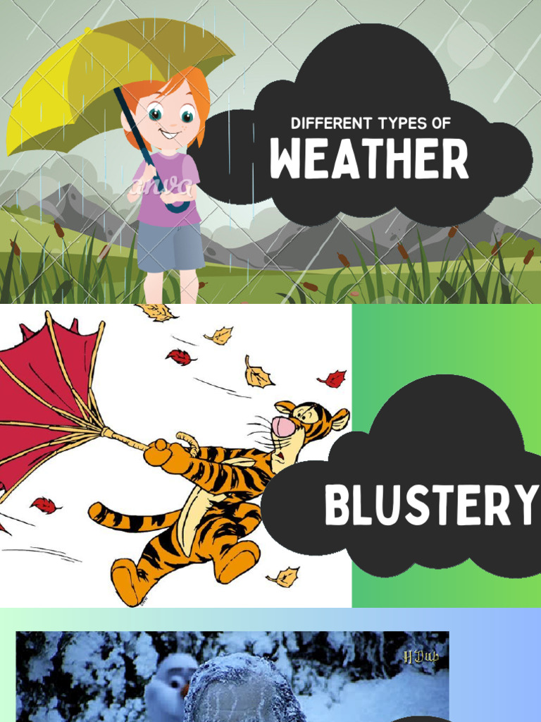 Weather | PDF