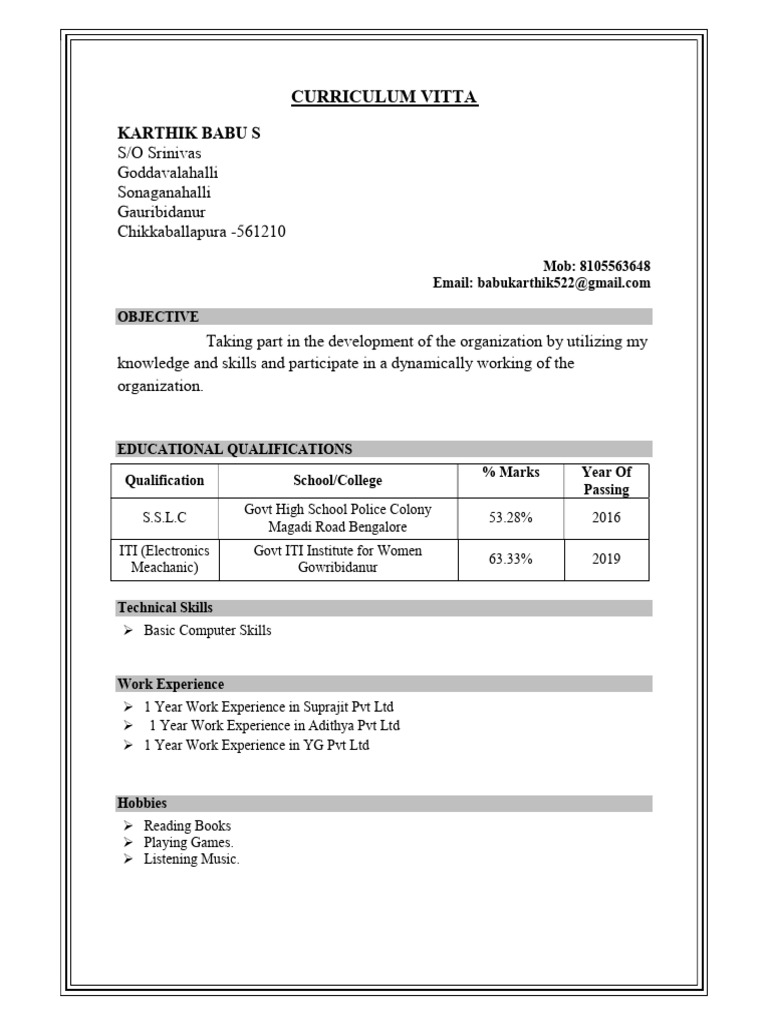 Karthik Babu S - CV and Profile | PDF