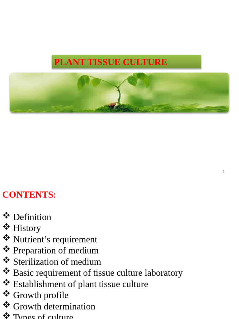 Plant Tissue Culture Overview and Techniques | PDF | Cell Culture ...
