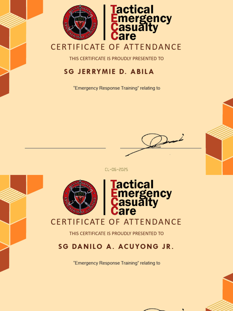 Adult BLS CPR + AED, STB, and TECC Certificate - August 28, 2025 | PDF ...