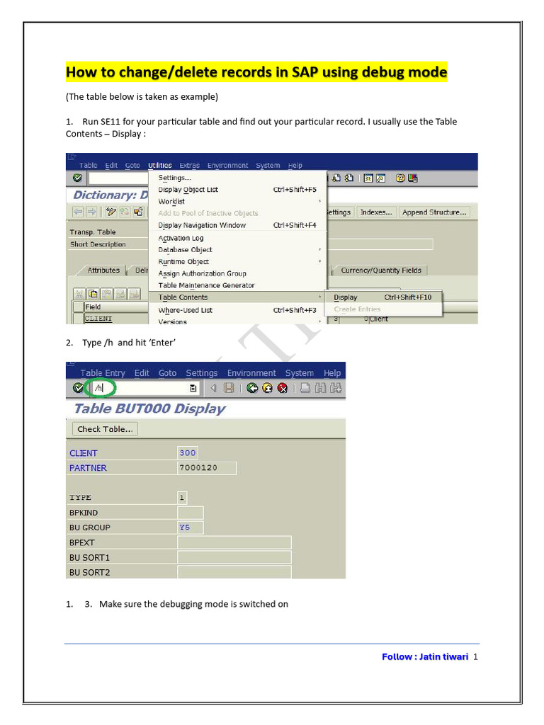 Change/Delete SAP Records in Debug Mode | PDF