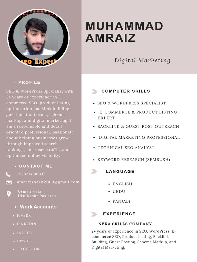 Work CV M.amraiz | PDF