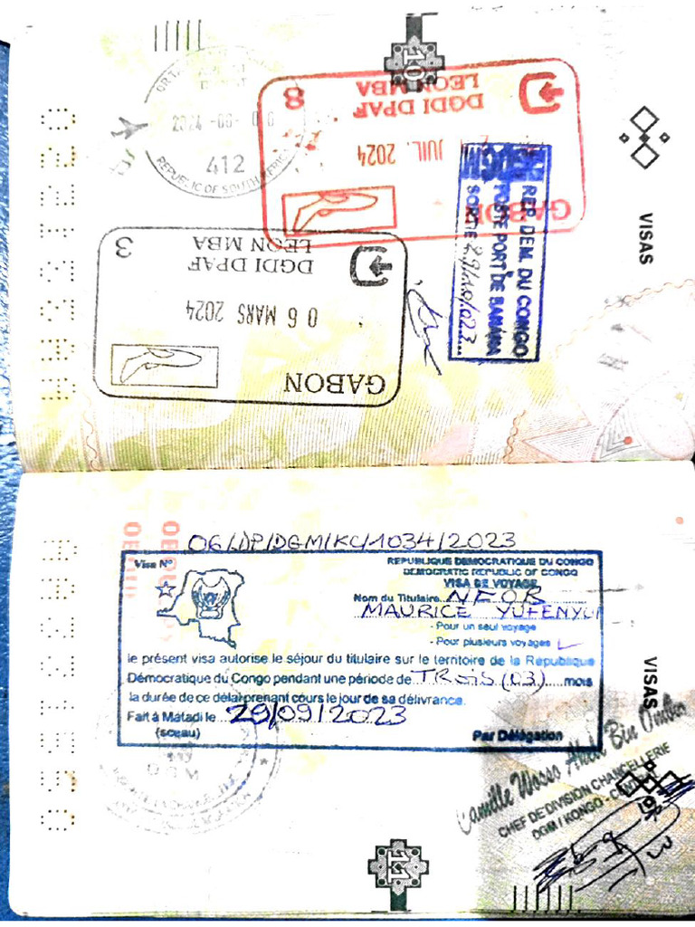RDC Visa | PDF