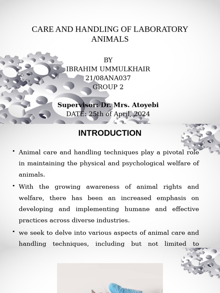 Laboratory Animal Care and Handling Guide | PDF | Animal Welfare