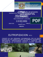 2012-2 Eutrofización LLuvia Acida