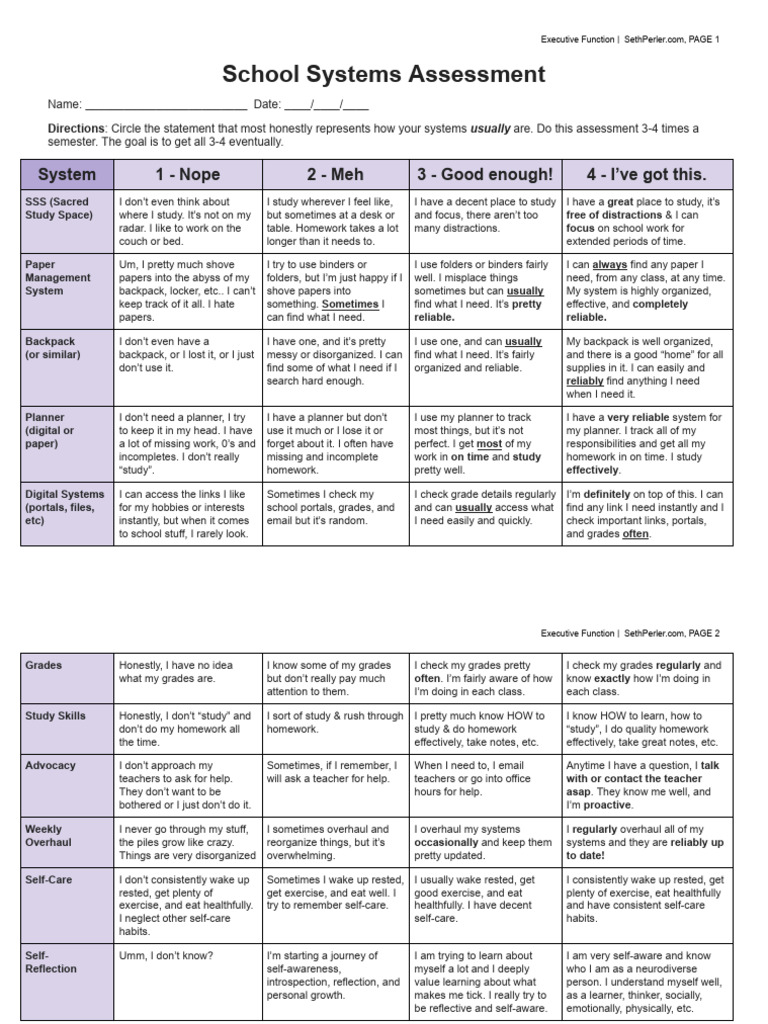 Executive Function Assessment Tool | PDF | Cognition | Psychology