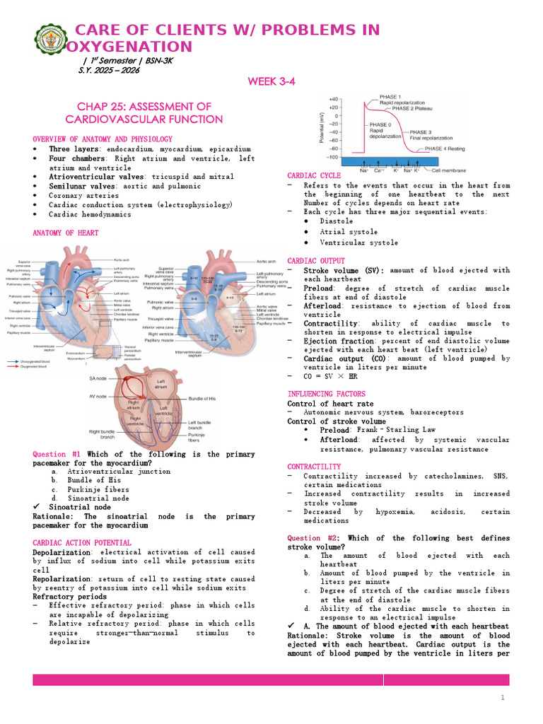 Cardiovascular Assessment and Management | PDF | Heart | Heart Rate