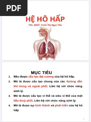 SINH LÝ HÔ HẤP THỂ HIỆN QUÁ TRÌNH THÔNG KHÍ VÀ TRAO ĐỔI KHÍ Ở PHẾ NANG