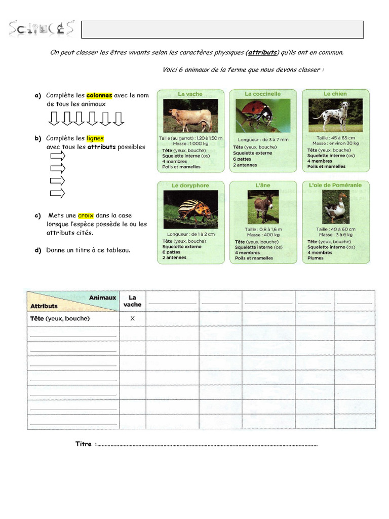 Classification des animaux de la ferme | PDF | Organismes | Biologie