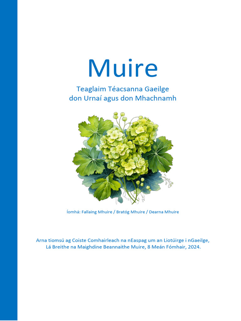 Buairt faoi 'Chiorcal Fear' ag déanamh mí-úsáide ar pháistí i dTír Chonaill, image size:768x1024