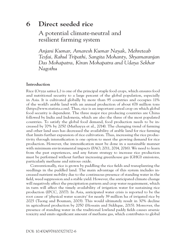 Direct Seeded Rice: A Sustainable Solution | PDF | Rice | Fertilizer