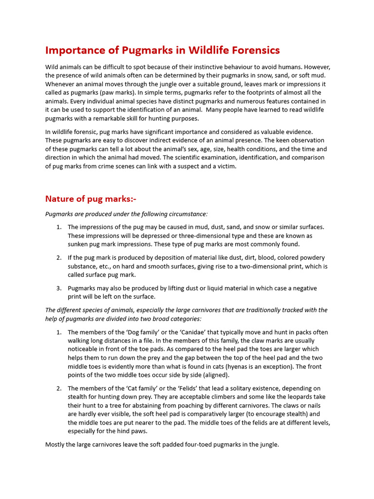 Importance of Pugmarks in Wildlife Forensics | PDF | Claw | Felidae